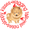 Cute Pomeranian, sloppy kisses