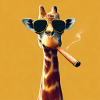 Cool giraffe