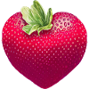 Erdbeere
