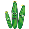 famille du concombre,concombre,concombre,mouche,halo