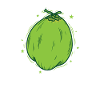 Coconut Palm Exotic Fruit