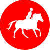 reiten