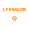 Labrador Lover Gifts