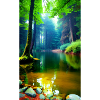 Brook in the woods