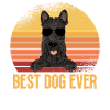 Scottish Terrier Scottie Dog