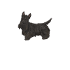 Scottish Terrier Scottie Dog