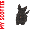 Terrier écossais Scottie Chien
