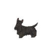 Scottish Terrier Scottie Dog