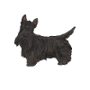 Scottish Terrier Scottie Dog