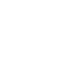 The fast cars