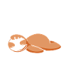 Sloth just keep sleeping