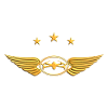 Drone Pilot / Drohnenpilot Emblem