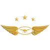 Drone Pilot Drone Flying