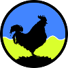 Rooster1