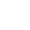 Bear Grizzly Crown King