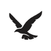 Vogel