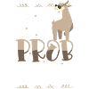 Lama Llamas Wool
