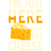 Cheese Lover Cheddar Gouda Cheesecake