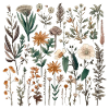 Beautiful Boho Flower Herbarium Bouquet