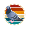 Colombe