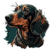 Dachshund