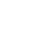 Rhinoceros Crown King
