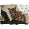 Leonard Luchs ~ Kritzeltoon #12