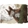 Erna Eichhörnchen Kritzeltoon #13