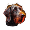German-wirehaired hair