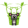 Koala eats Bamboo
