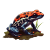 Cute strawberry frog in blue and red