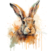Rabbit Bunny Splash Watercolour