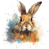 Rabbit Bunny Splash Watercolour