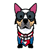 Funny dog