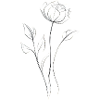 Minimalist flower