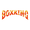 Boxing Sport