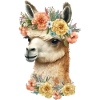 Lama doux