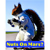 Nødder på Mars? Fjollet egern design