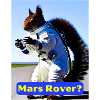 Mars-Rover? Albernes Eichhörnchen-Design