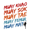 Thaiboxen Muay Thai