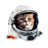 Chat Astronaute Costume Space Cats