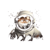 Shiba Inu Astronaut Space Dogs