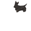 Scottish Terrier Scottie Dog