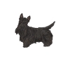 Scottish Terrier Scottie Dog