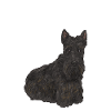 Scottish Terrier Scottie Dog