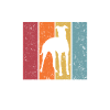 Greyhound