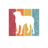 Bordeauxdogge