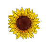 Ich werde große Schwester