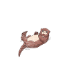 Loutre