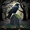 Black raven on tombstone, illustration